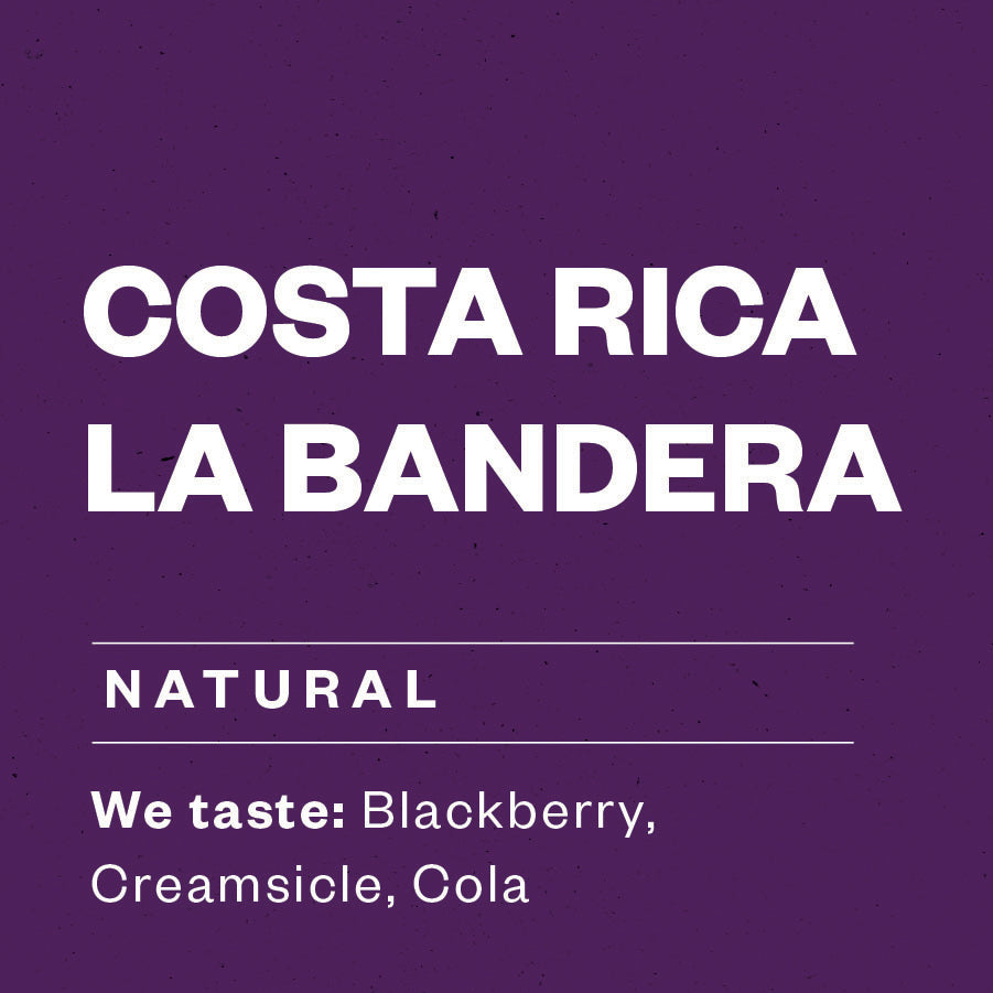 Costa Rica La Bandera