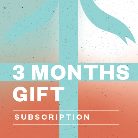 3 Month Gift Subscription | Monthly