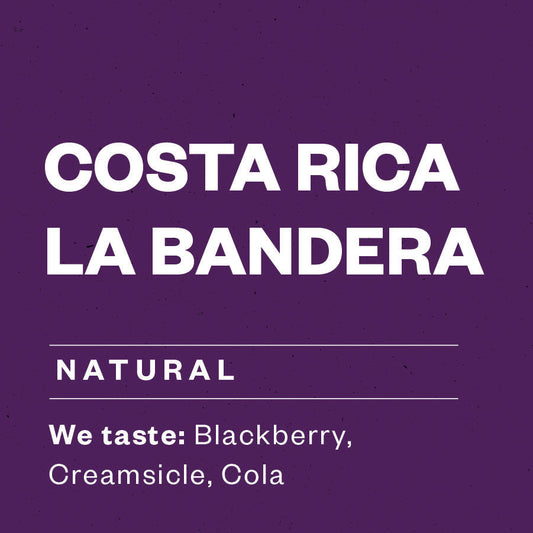 Costa Rica La Bandera