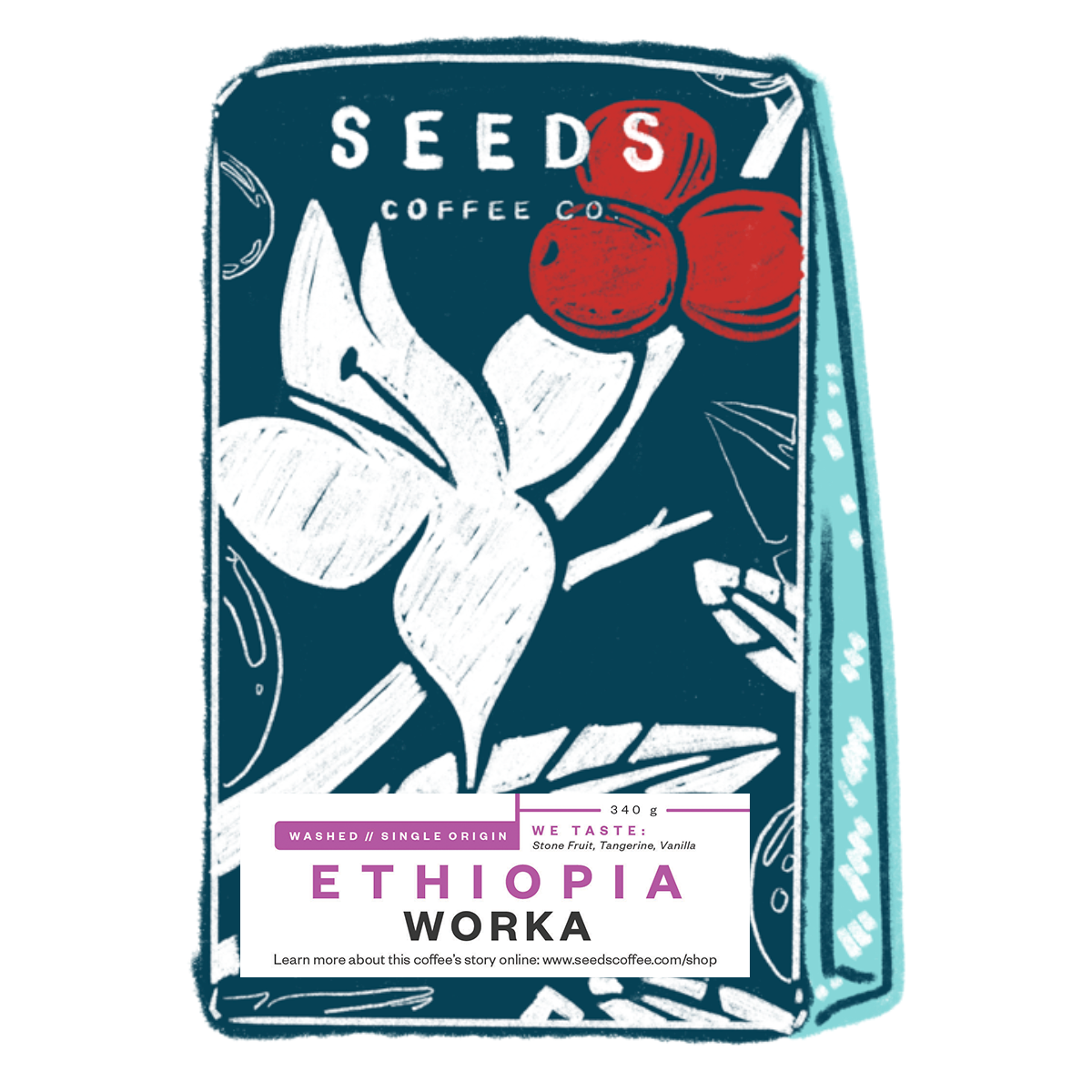 Ethiopia Worka